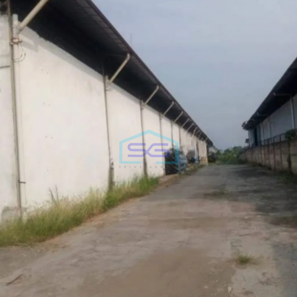 Dijual Tanah Dan Bangunan Gudang Di Jalan Raya Cikande Rangkas Bitung Banten LT 29207m2-3