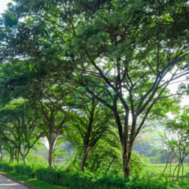 Disewakan Tanah Luas  2970 m² Lokasi Bebas Banjir di Jakarta Barat-1