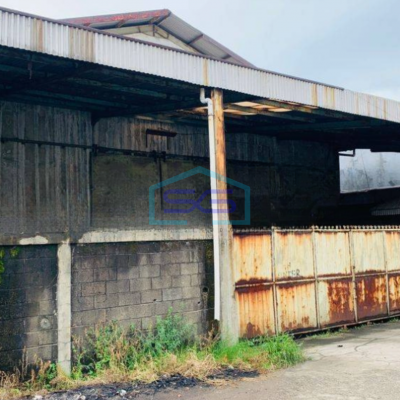 Disewa Gudang Strategis Akses Kontainer Tidak Banjir di Sunter Selatan, Jakarta Utara