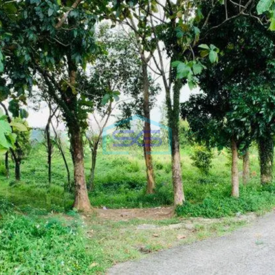 Dijual Tanah di Hambalang Bogor SHM Cocok Untuk Cafe Villa Panti