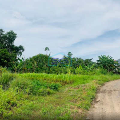 Dijual Tanah Kavling LT 45500m2 Cocok Pergudangan Dekat Airport Soetta Periuk Tangerang