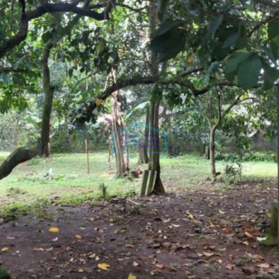 Dijual Tanah Lokasi Bebas Banjir di Curug Tangerang Luas 3810 m²