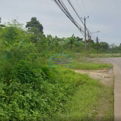 Dijual Cepat Tanah Luas 3000 m² Lokasi Bebas Banjir di Jambe Tangerang