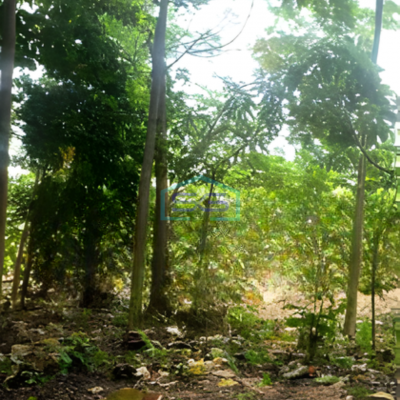 Dijual Tanah Luas 23000 m² Lokasi di Beji Depok