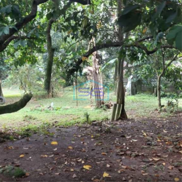 Dijual Tanah Bebas Banjir Luas  3810 m² Lokasi di Curug Tangerang-2