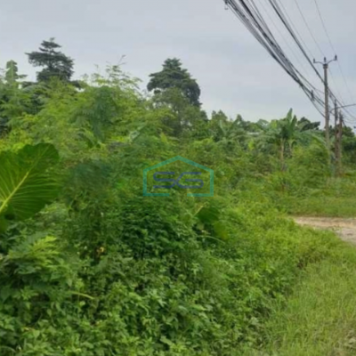 Dijual Tanah Lokasi Bebas Banjir Luas 3000 m² di Jambe Tangerang