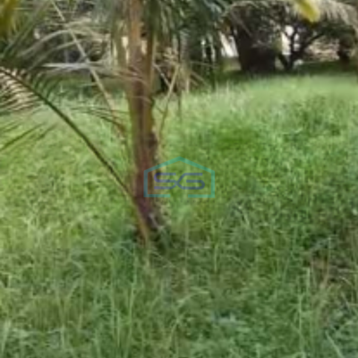 Dijual Tanah Luas  7512 m² Lokasi di Tangerang