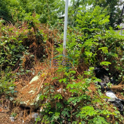 Dijual Tanah Premium Senen Raya Jakarta Pusat Luas 4241m2