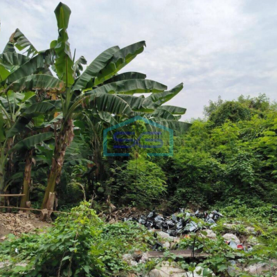 Disewa Tanah Kosong 1500 Meter di Sunter Jakarta Utara