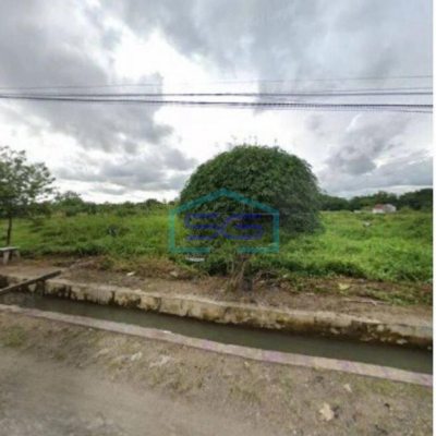 DIJUAL TANAH STRATEGIS DEKAT KAMPUS DI SLEMAN JOGJA