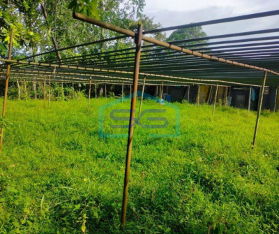 Dijual Ex pabrik di kawasan bajamas balaraja dekat ke pintu tol