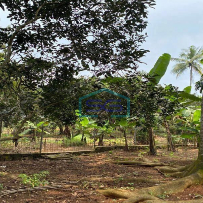 Dijual Tanah Industri bisa jadi Gudang di Kalijati Purwadadi Subang