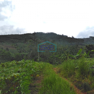 Dijual Tanah Super Murah di Pelabuhan Ratu Sukabumi Luas 100 Ha