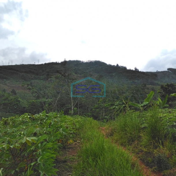 Dijual Tanah Super Murah di Pelabuhan Ratu Sukabumi Luas 100 Ha-2