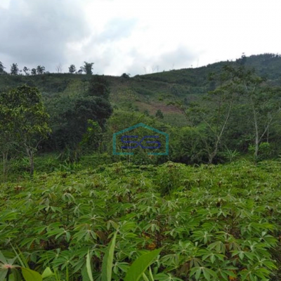 Dijual Tanah Super Murah di Pelabuhan Ratu Sukabumi Luas 100 Ha