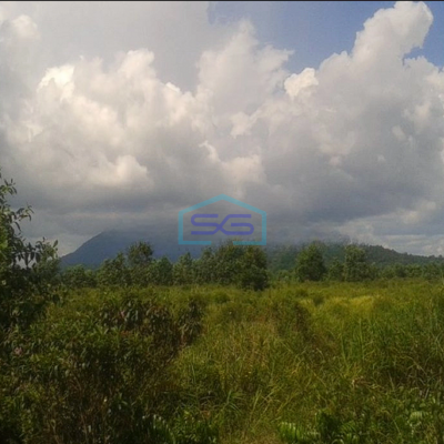 Dijual  Tanah Strategis Di Pinggir Kota Singkawang Kalimantan Barat LT 20000m2