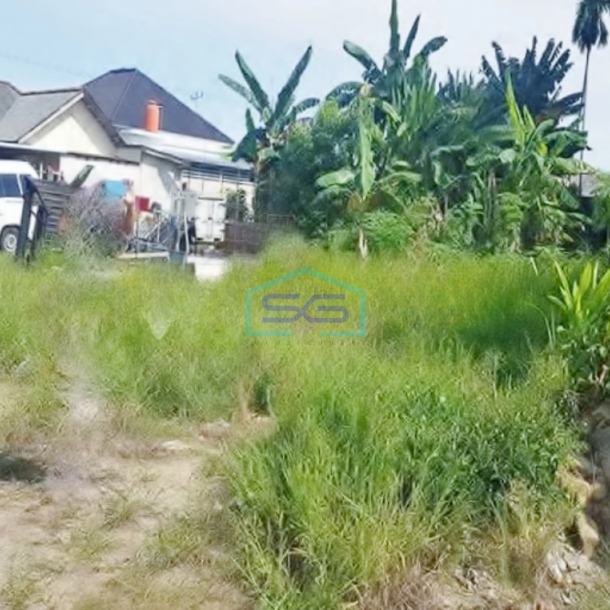 Dijual Tanah Plus Bangunan Walet di Pangkal Pinang, Bangka Tengah-1