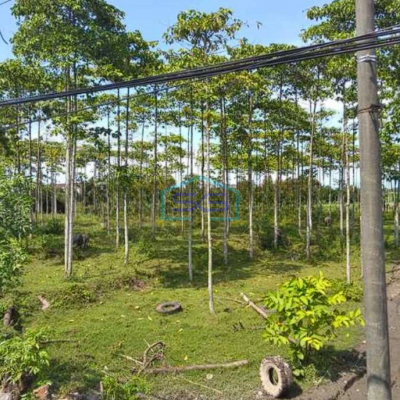 Dijual Tanah Ijin Industri Masuk Kontainer 40ft 3 KM dr toll Cikande Serang LT 22000m2