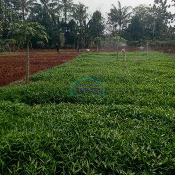 Dijual Tanah cCocok Untuk Industri Kecil, Masuk Truk di Gunung Sindur Bogor LT 2000m2-1