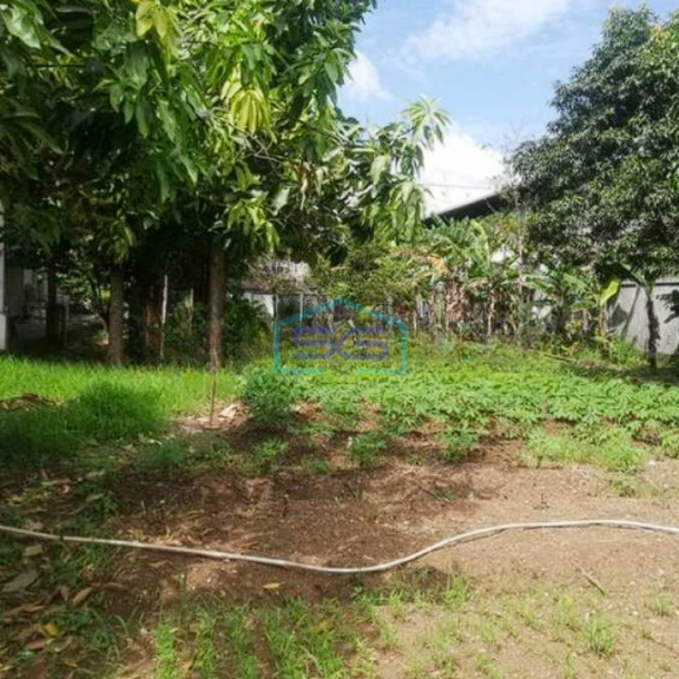 Dijual Tanah Zona Industri Bisa Lewat Kontainer, Bebas Banjir di Mauk Tangerang LT 1323m2-1