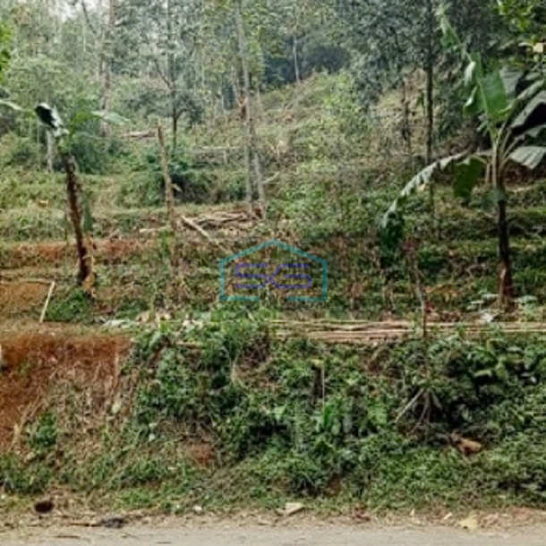 Dijual Tanah di Jalan Lintas Leuwiliang Bogor Luas Tanah 2150m2-4