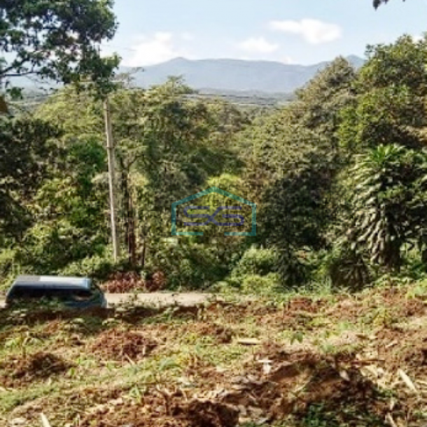 Dijual Tanah di Jalan Lintas Leuwiliang Bogor Luas Tanah 2150m2-3