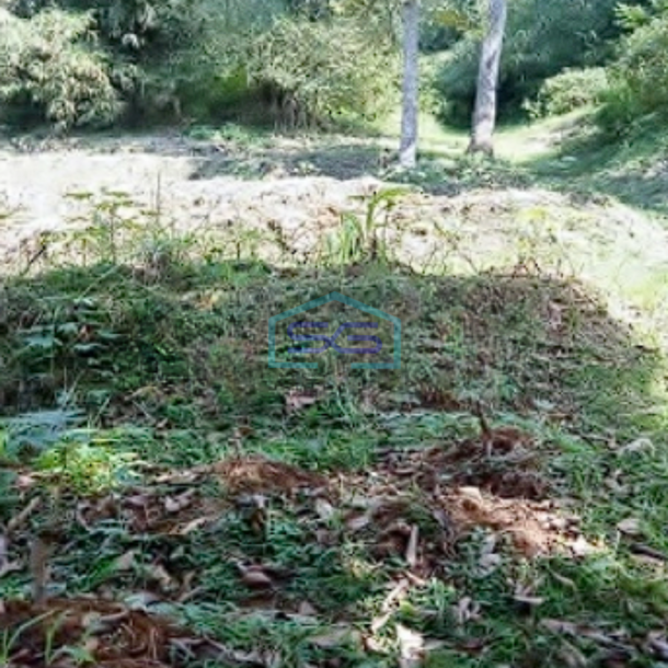 Dijual Tanah di Jalan Lintas Leuwiliang Bogor Luas Tanah 2150m2-2