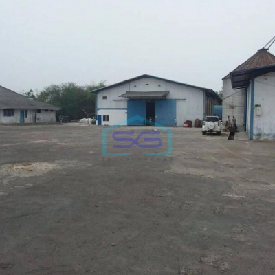 Dijual Pabrik Pakan Ternak Aktif, Msk Kontener 40f di Serang Timur