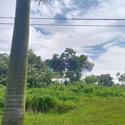 Dijual Tanah Kawasan Industri Modern Cikande Serang