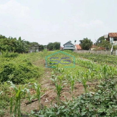 Tanah Dijual Eks Pabrik, Sawah, Dkt Toll di Kerawang Timur