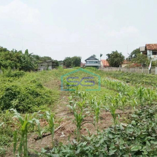 Tanah Dijual Eks Pabrik, Sawah, Dkt Toll di Kerawang Timur-3