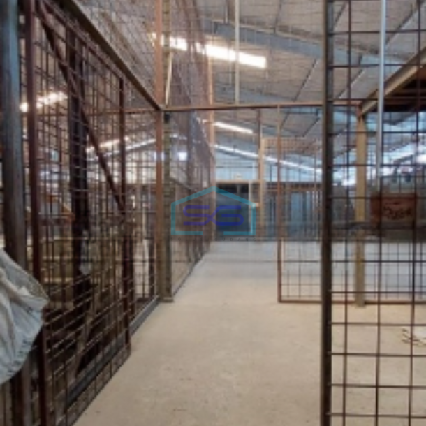 Disewakan Segera Gudang Di Kapuk Jakarta Utara Luas Bangunan 3700m2-2