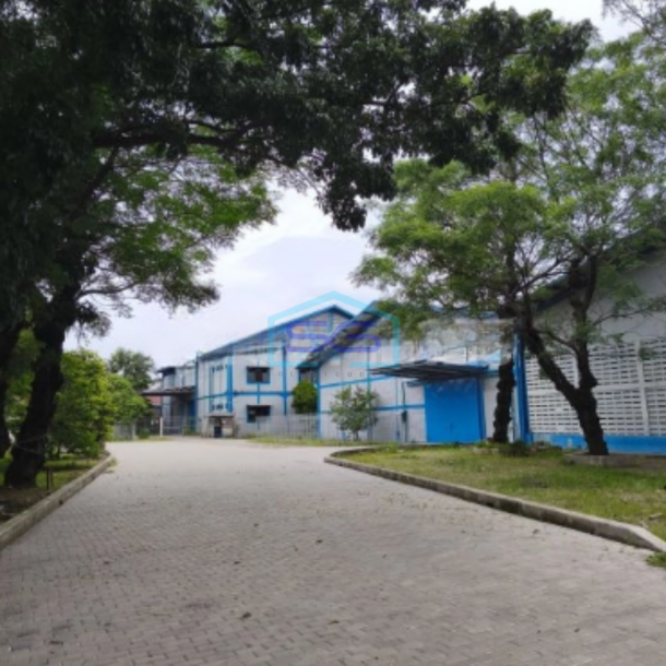 Disewakan Gudang Siap Pakai Akses Kontener 40ft Termurah di Tangerang Luas Bangunan 1104m2-4