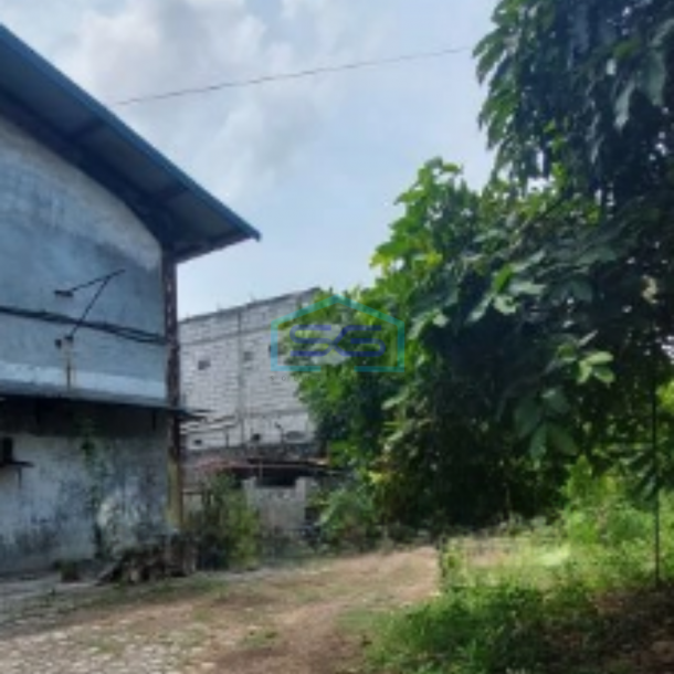 Disewakan Murah Pabrik Luas Bangunan 1500m2 Butuh Renovasi Akses Kontener 40 feet Kamal Jakarta Utara-1