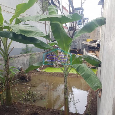 Disewakan gudang di pergudangan dan industri Pantai Indah Dadap Tangerang