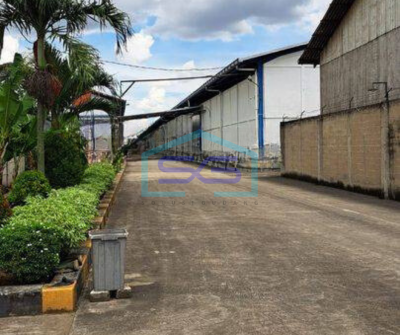 Disewakan Gudang 1900 m² Baru Di Cikupa