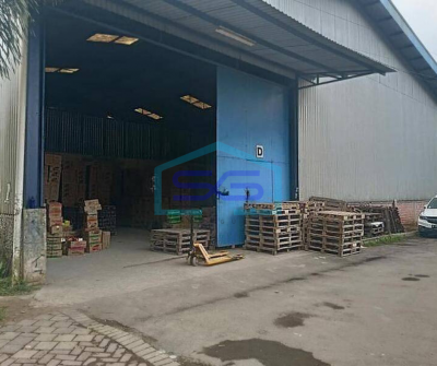 Disewakan Gudang Curug Tangerang Banten