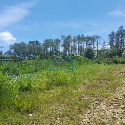 Dijual Tanah Lembang Asri Bandung View Bagus Luas Tanah 5400m2