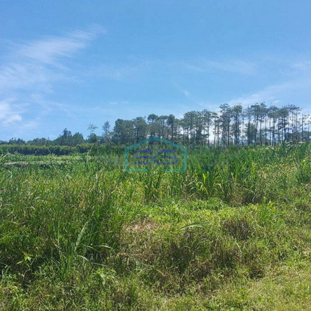 Dijual Tanah Lembang Asri Bandung View Bagus Luas Tanah 5400m2-1