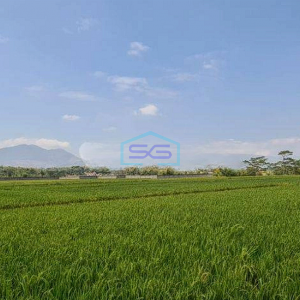 Disewakan Tanah Strategis Area Industri Majalaya Bandung LT 35000m2-1