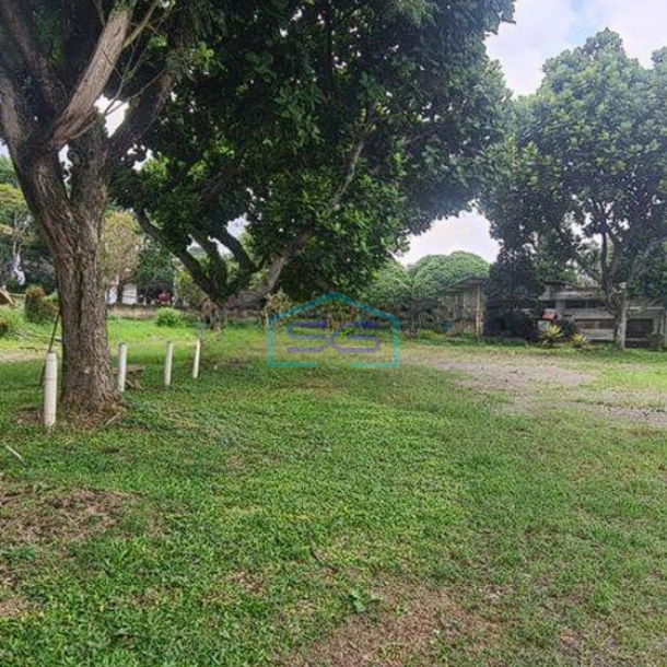 Disewakan Dijual Tanah Lokasi Strategis Asri Lembang Bandung LT 56000m2-2