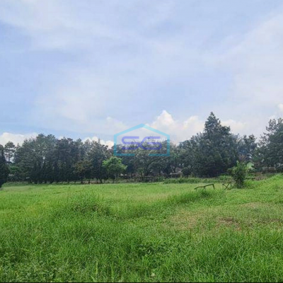 Disewakan Dijual Tanah Lokasi Strategis Asri Lembang Bandung LT 56000m2