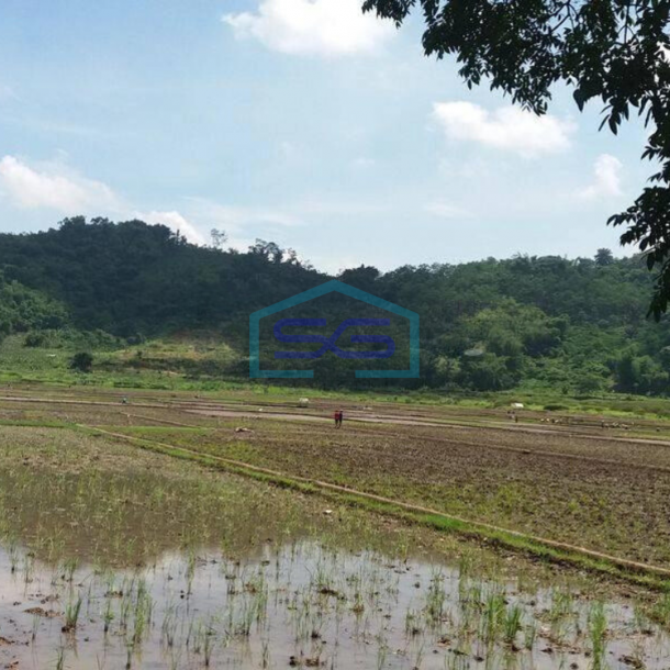 Dijual tanah sawah mainroad jln raya cipatik pataruman soreang-2