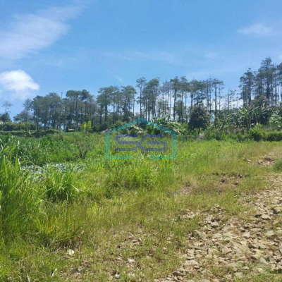 Jual Tanah Lembang Asri