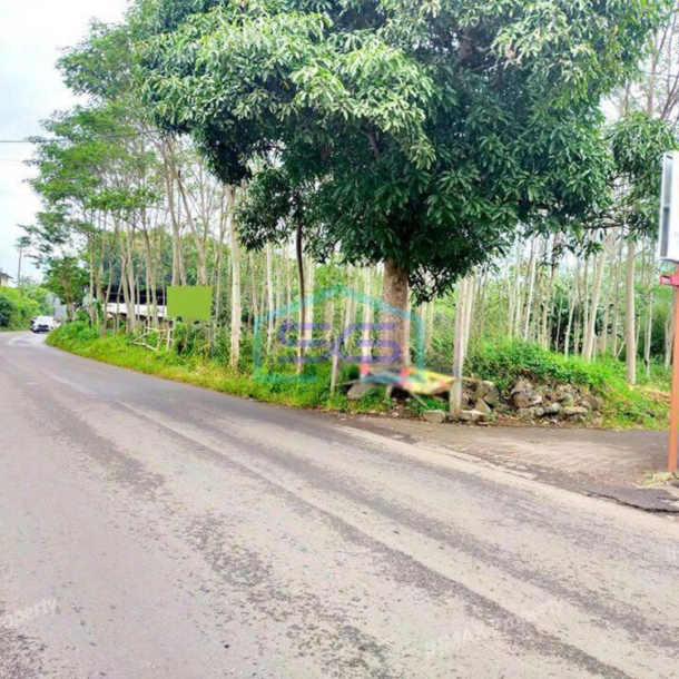 Dijual Jual Tanah Komersil 13000m Jalan Raya Strategis di Malang untuk dibangun Tempat Wisata,Pabrik,Gudang,Industri-2