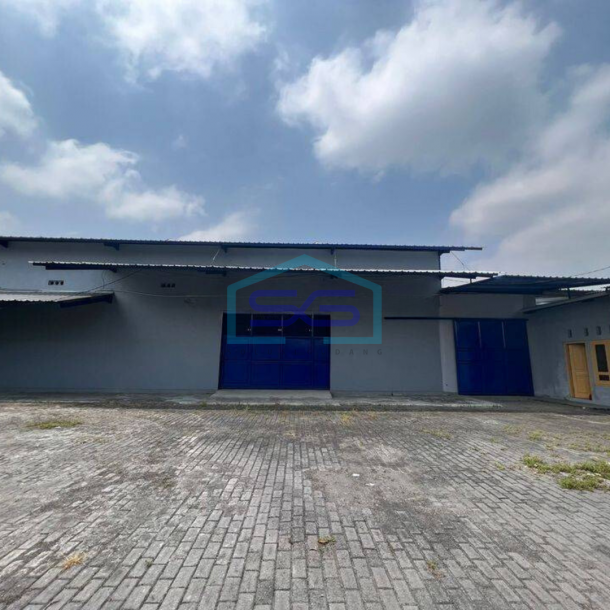 Disewakan Gudang Murah Baru Cocok Gudang Sembako Dkt Ringroad Timur Selatan Bantul Jogja-2