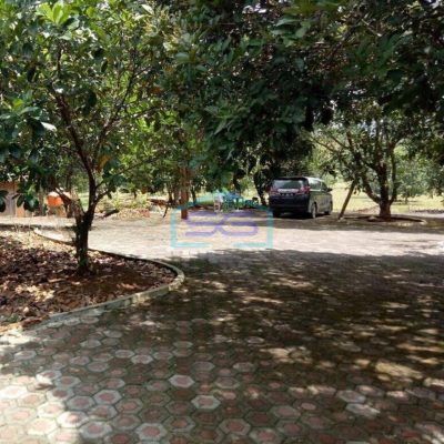 Dijual Lahan Luas Cocok Untuk Bangun Gudang di Tanjungsari, Bogor