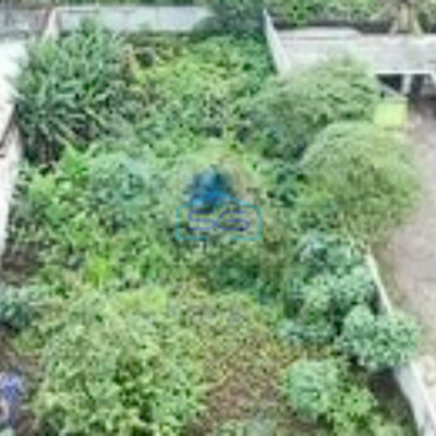 Disewakan Tanah Cocok Buat Parkir Alat, Gudang di Cisauk Dekat BSD Tangerang