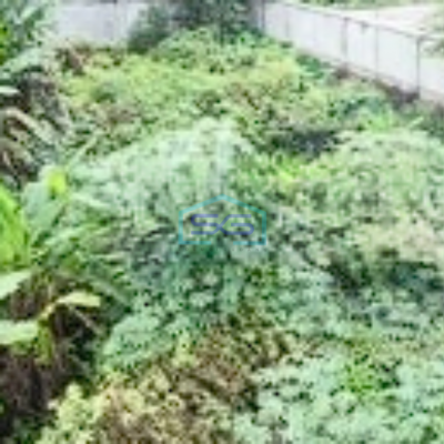 Disewakan Tanah Cocok Buat Parkir Alat, Gudang di Cisauk Dekat BSD Tangerang