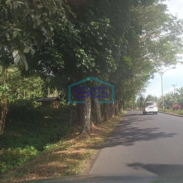 Dijual Tanah 1,7h di Minahasa Utara Cocok buat Gudang dan Ekspedisi-3